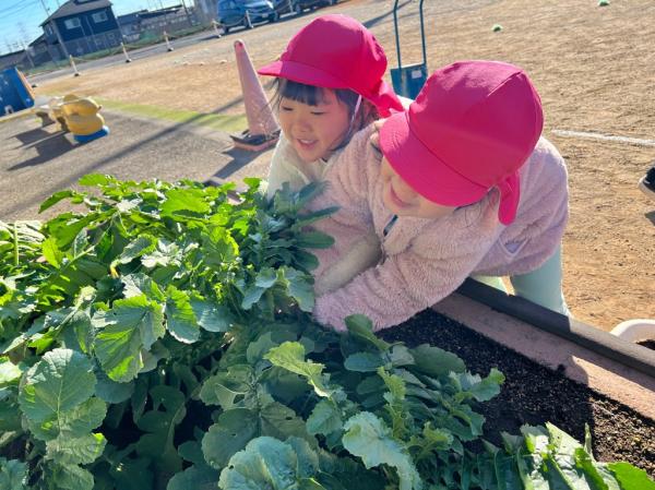 うんとこしょ!どっこいしょ!💨