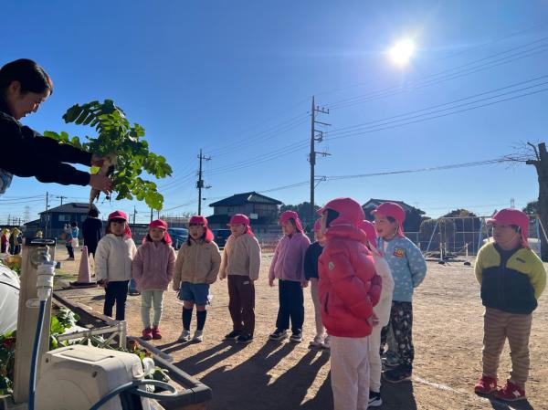 「みんなが育てただいこんだよ🎵」