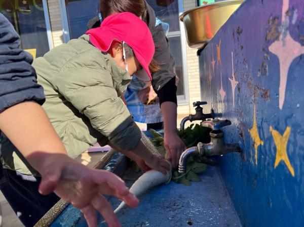 水が冷たいけど頑張るぞ!