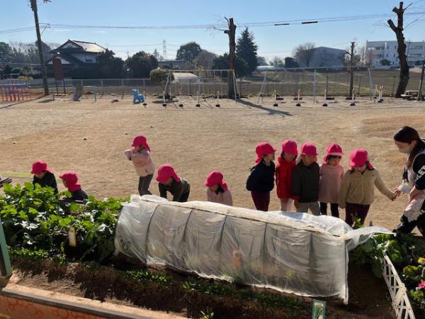 生長が楽しみだね💖