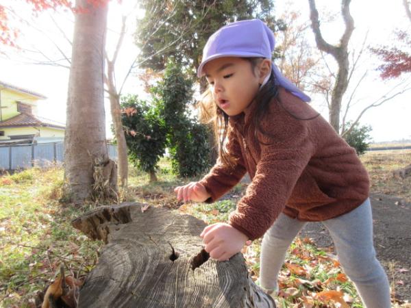 どんぐりどこかな~🤔