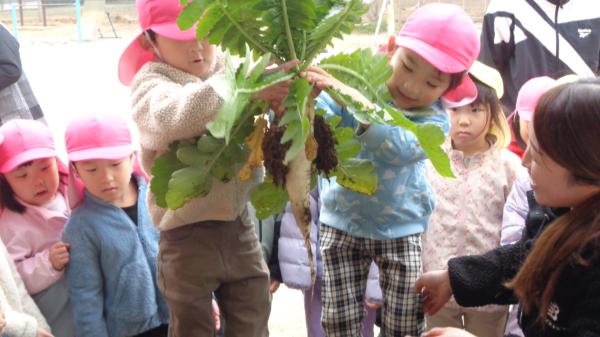 こっちも負けてない⭐