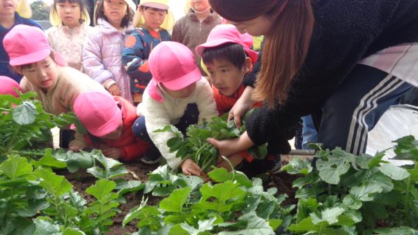 けっこう力がいるぞ〜💦