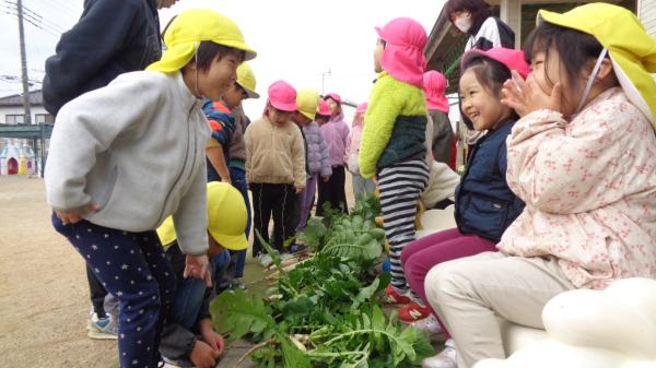 「だいこん1つ100円ですよ〜🎵」とお店やさんごっこが始まりました😆