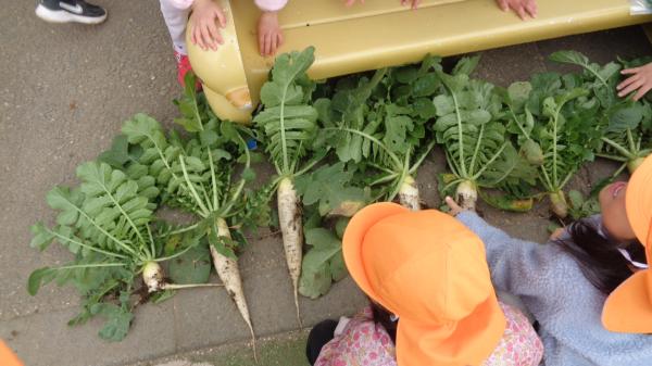 いろいろな形があって面白い♡