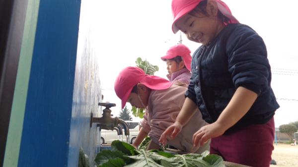 収穫しただいこんはきれいに水洗い✨