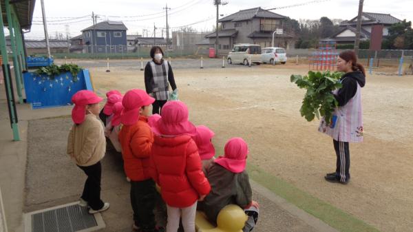 給食先生、お願いします!
