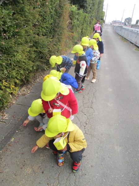 どんぐりみーつけた👀✨