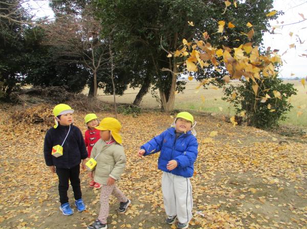 葉っぱの雨が降ってきた🍂🎶