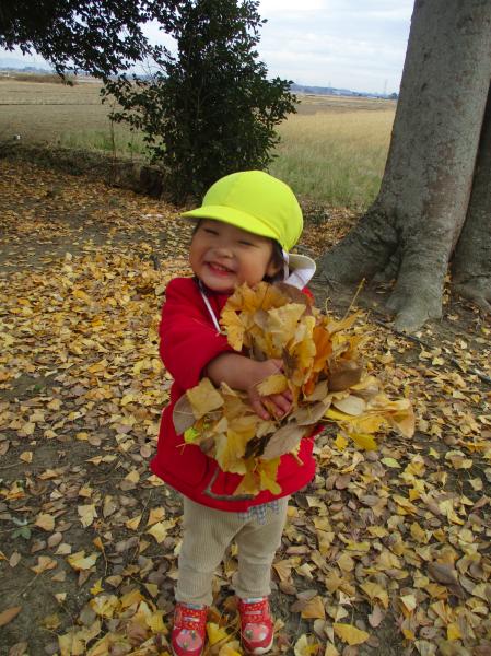 見て見て✨たくさん拾ったよ😆🍂