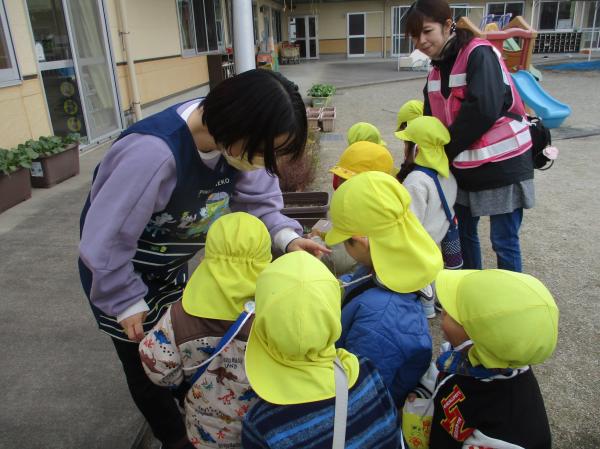 たくさん拾った、どんぐりや落ち葉をお披露目😆✨