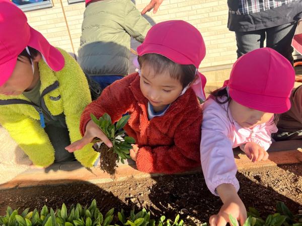 上手に抜けたね🌿