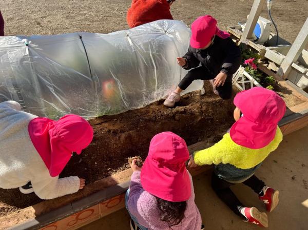 次の収穫は、人参だね🥕✨