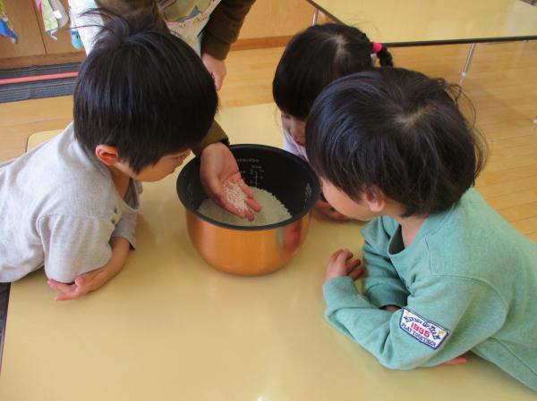 食べているご飯より硬いよ👀