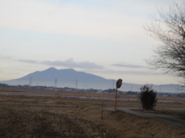 途中で、筑波山が見えたよ!