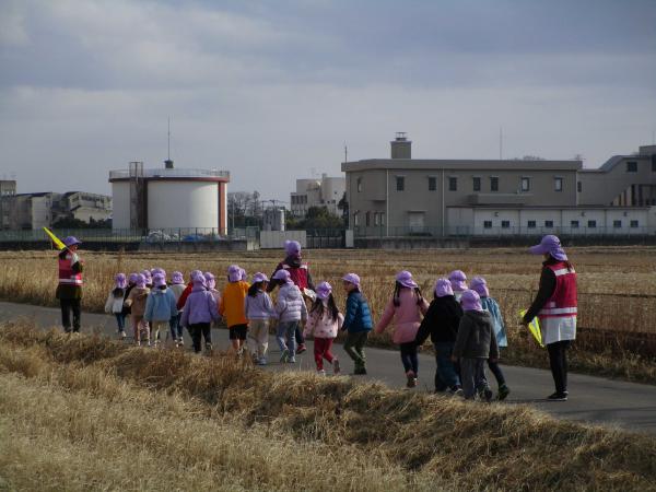 お天気が良くなってきたので、楽しく散歩できました!