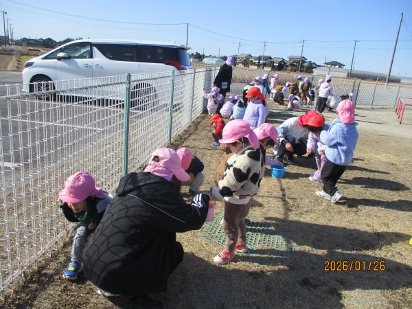 クリーンデー(落ち葉拾い🍂)