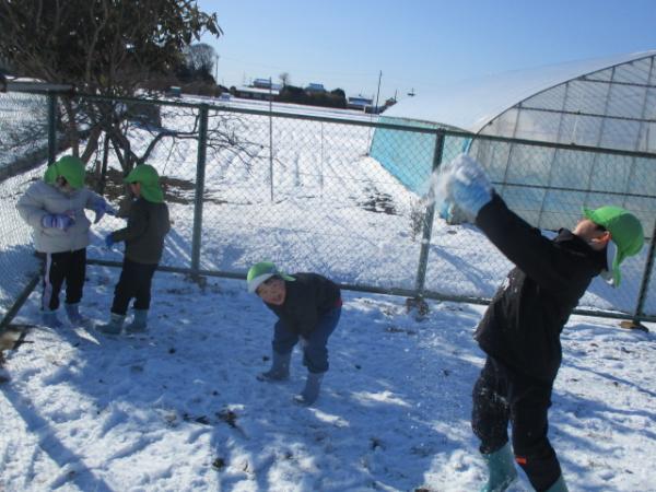 雪がさらさらしていて気持ちがいいね💓