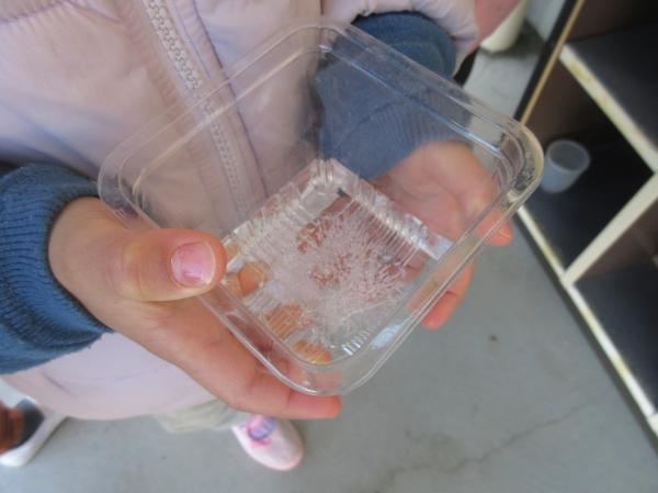 氷ができたよ❄