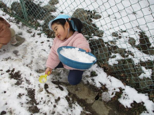 こんなに雪集まったよ〜✨