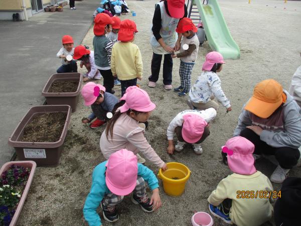 草取り頑張るぞ!