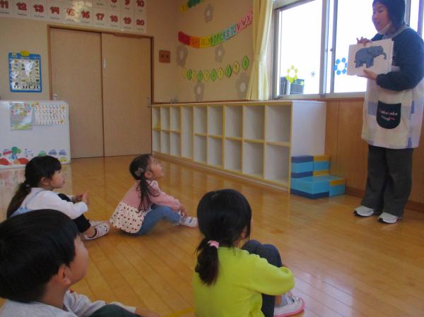 エレファント❗❗