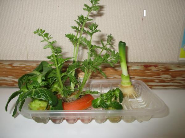 リボベジってすごいね!