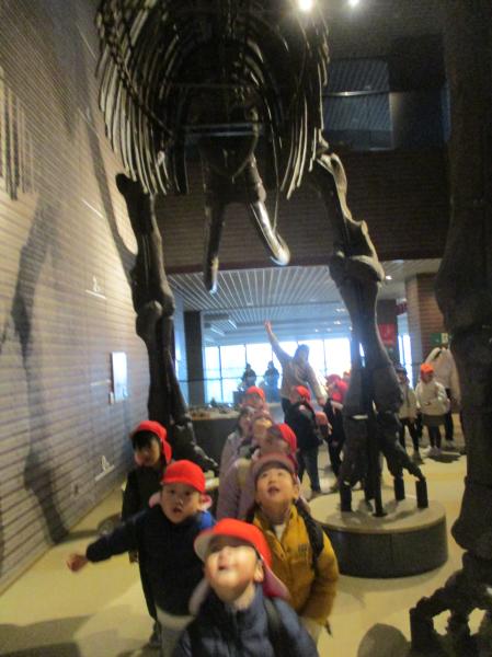 マンモスの骨大きいな〜!