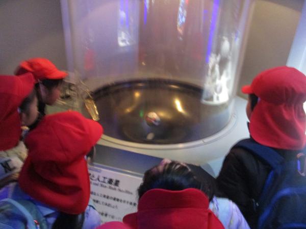 じーっと観察中!