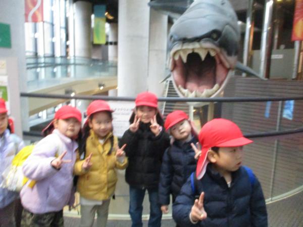 大きなサメがお出迎え!