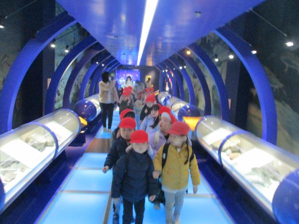 透明で透けている床の上を歩いたよ!