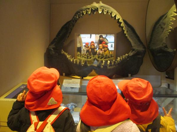 お口の中に入っちゃった〜!