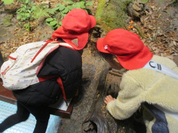 ここを開けてみると・・・ナメクジがいました!