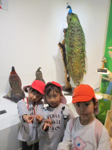 今回の企画展は「鳥🐓」