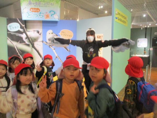 シマエナガにも会えました!