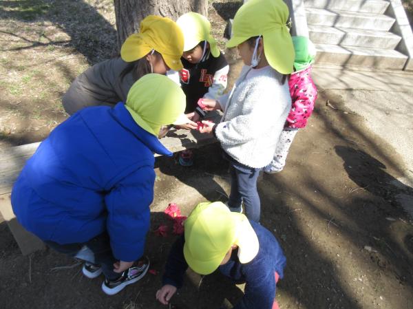 お花を集めて、何をしているのかな?👀✨