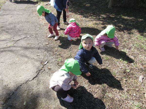 どんぐり集めてるんだよ🎶