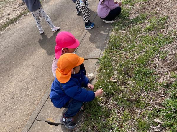 虫いるかな??🐜