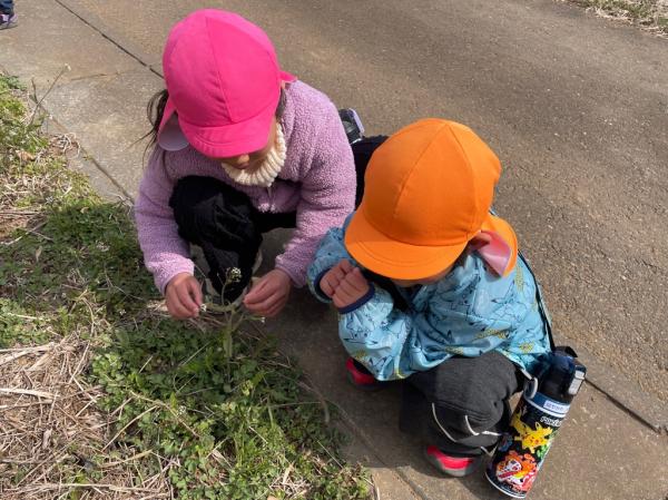 お花きれいだね❀