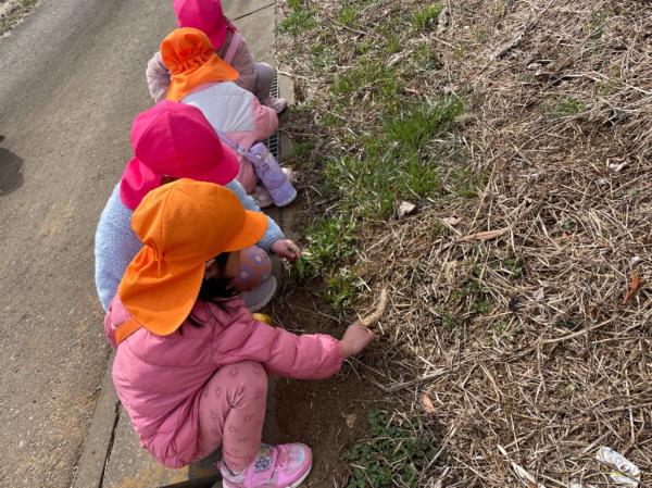 摘んでいこう❀