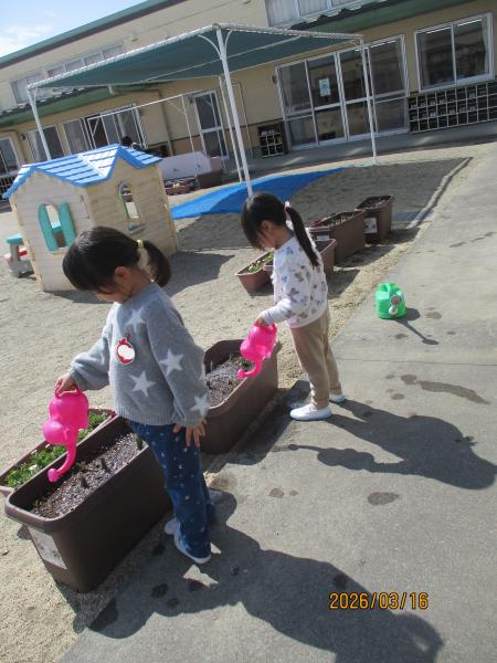 大きくなあれ💗