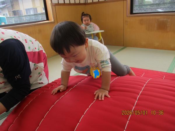 お山はハイハイで登ったよ!