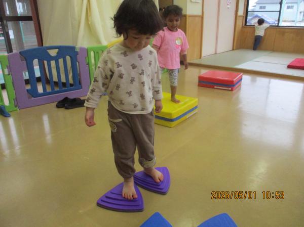 飛び石から落ちないように慎重に・・