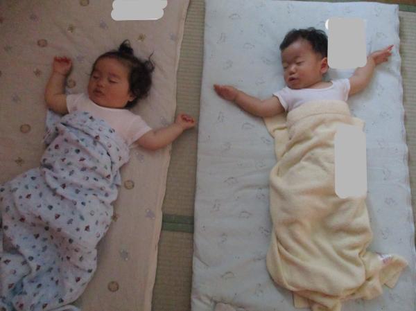 お昼はみんなスヤスヤ😴