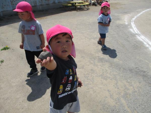 大きな石、発見❗