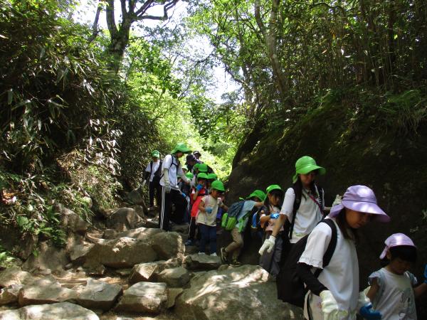 登山の様子