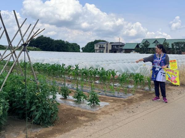 みんなにクイズだよ😊あの野菜はなぁ〜んだ?