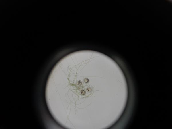 DSC00449