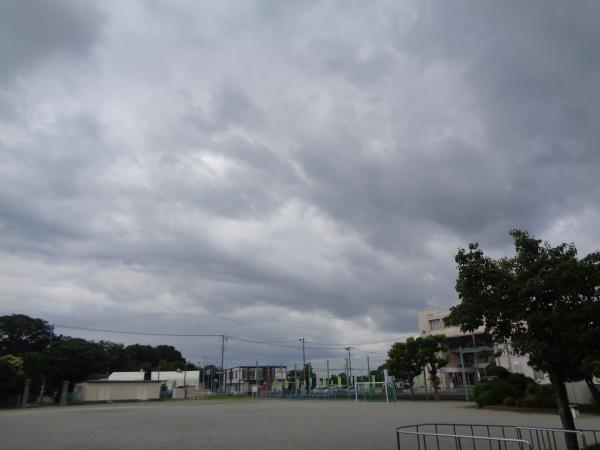 DSC02845