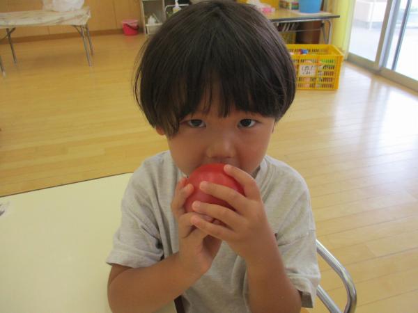 トマトの匂いがするよ!